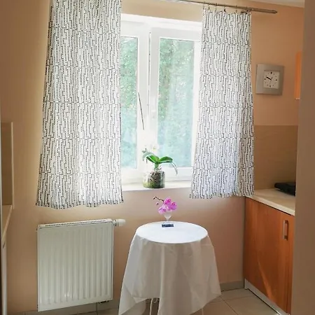 Apartman Legionow 55